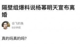 刘恺威爆料杨紫视频播放,视频播放背后的惊人内幕